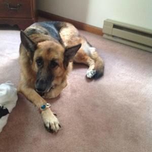 Meet your Posher, Jordan